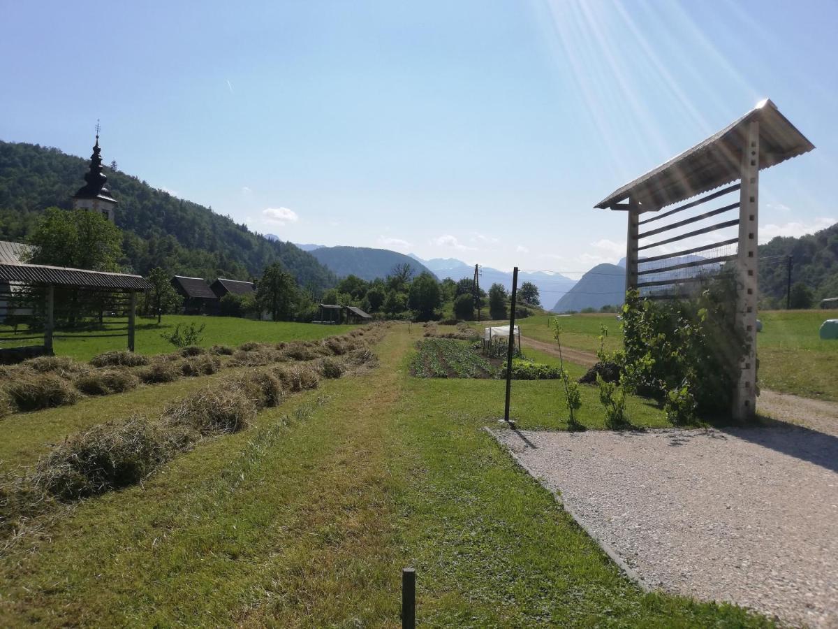 Soba Pri Bregarju Leilighet Bohinj Eksteriør bilde